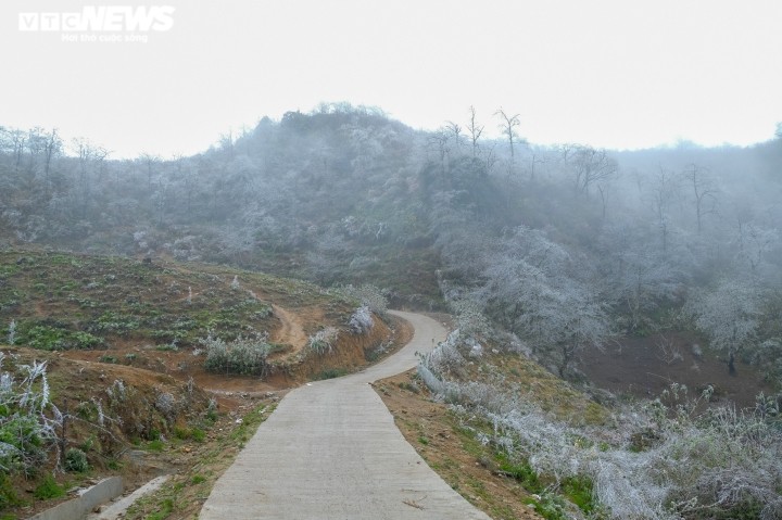 Anh: Bang tuyet phu trang xoa nui doi, xa bien gioi o Lao Cai dep nhu troi Tay