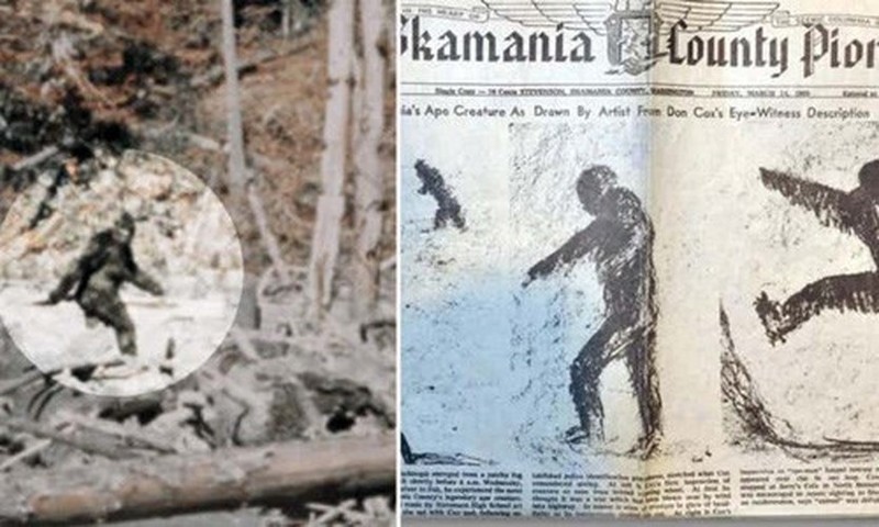 Tiet lo cuc choang ve lan xuat hien dau tien cua quai vat Bigfoot