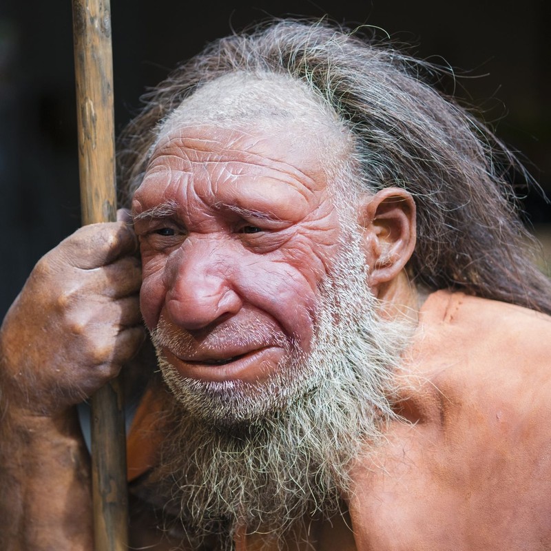 Giai ma bat ngo: Nguoi Neanderthals tuyet chung vi... san bat tho?-Hinh-2