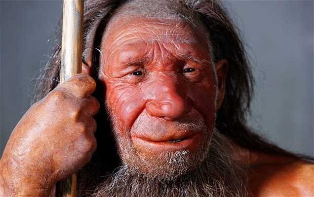 Giai ma bat ngo: Nguoi Neanderthals tuyet chung vi... san bat tho?-Hinh-3