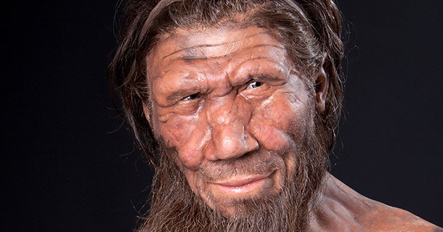 Giai ma bat ngo: Nguoi Neanderthals tuyet chung vi... san bat tho?-Hinh-6