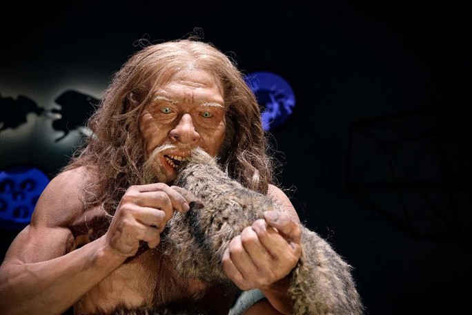 Giai ma bat ngo: Nguoi Neanderthals tuyet chung vi... san bat tho?