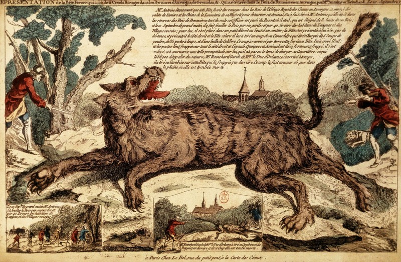 View - 	Bí ẩn rợn người về ma sói từng khiến dân Pháp mất ăn mất ngủ 