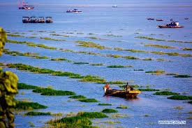 Bi an nhung vu mat tich tai “tam giac quy Bermuda” noi tieng Trung Quoc-Hinh-8