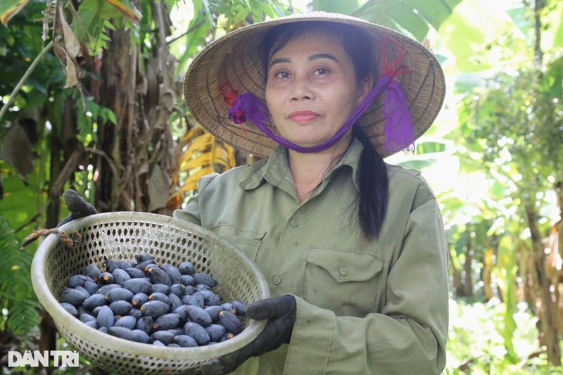 Thuong lai tranh mua thu qua goi nho huong vi nhung ngay ngheo kho-Hinh-8