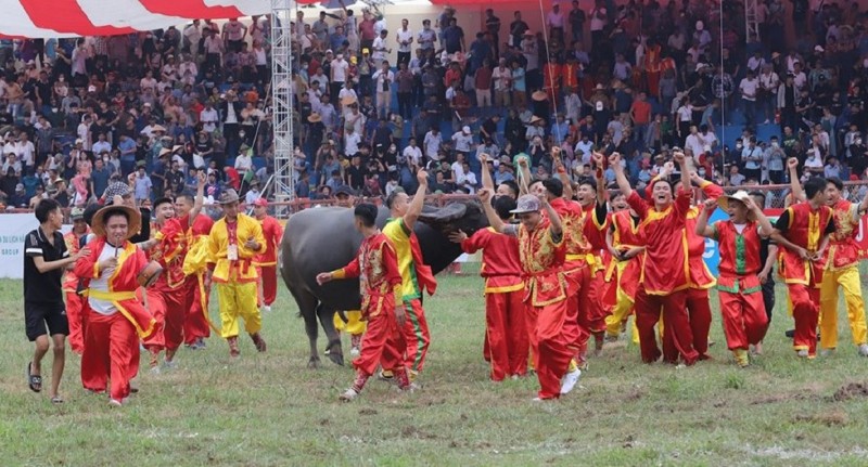 Trau noi bi choi “vang”, trau mua tu Campuchia len ngoi vo dich-Hinh-5