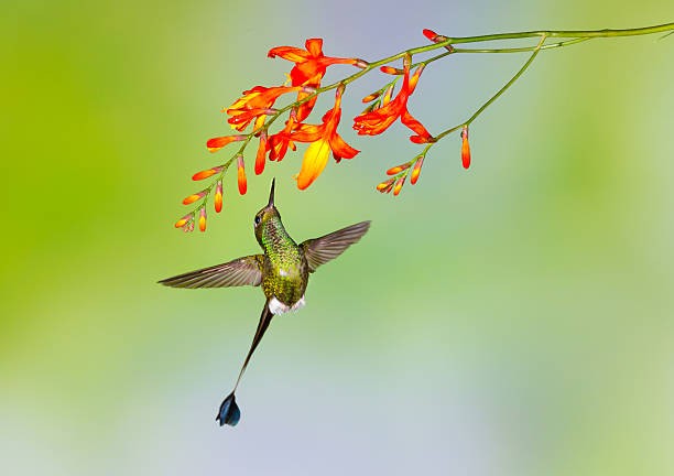 Sinh ngay Am lich nay troi sinh co so dao hoa, vuong van quy nhan-Hinh-3