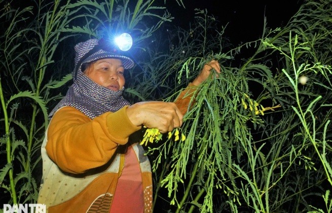 Soi den xuyen dem gom bong dien dien mua nuoc noi-Hinh-3