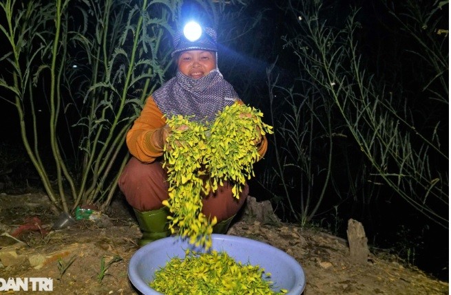 Soi den xuyen dem gom bong dien dien mua nuoc noi-Hinh-4