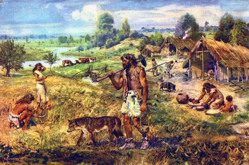 Vi sao nguoi Neanderthal huyen thoai dot ngot bien mat khoi Trai dat?-Hinh-10