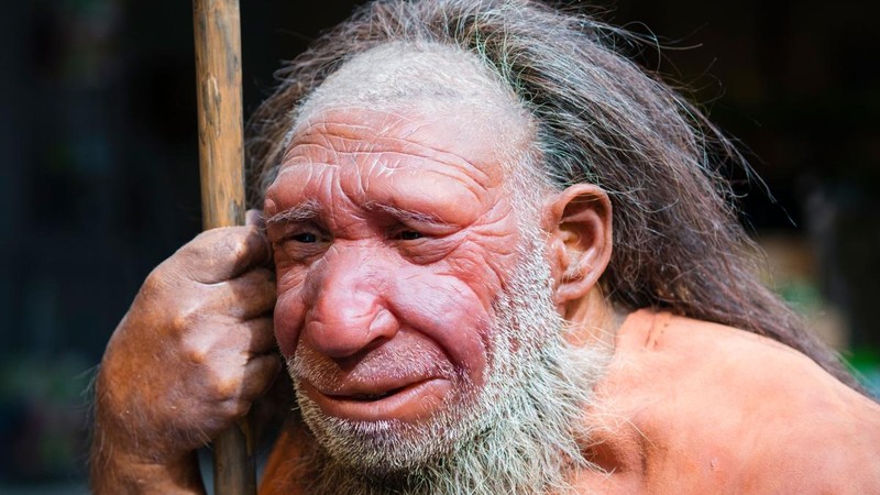 Vi sao nguoi Neanderthal huyen thoai dot ngot bien mat khoi Trai dat?-Hinh-5