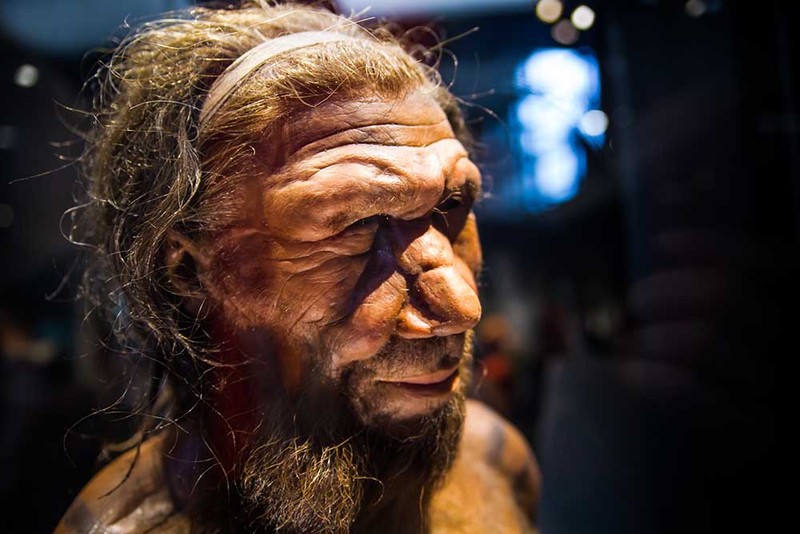 Vi sao nguoi Neanderthal huyen thoai dot ngot bien mat khoi Trai dat?-Hinh-9