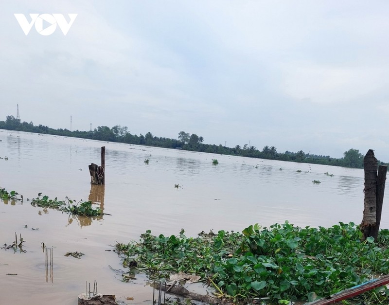 Nguyen quyen Giam doc Benh vien Phu san Tien Giang nhay cau tu tu