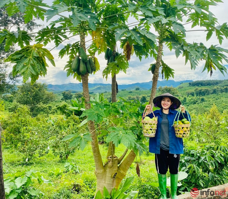 Roi pho sau 10 nam gan bo, co gai tre ve que lam nong dan-Hinh-3