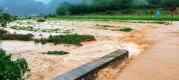 Nhieu noi mua dong, Son La, Ha Giang, Tuyen Quang, Cao Bang de phong sat lo