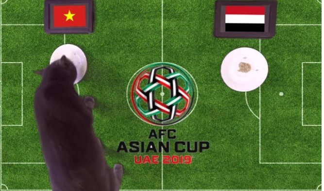 Meo “tien tri” Cass tro tai du doan ket qua bong da World Cup 2022-Hinh-9