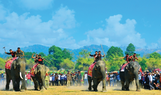 Voi Rok quy hiem sao Dak Lak len phuong an bao ton gap?-Hinh-9