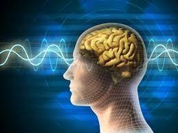 Loạt bí ẩn "điên đầu" nhất lịch sử, mãi chưa tìm ra lời giải - Hình 4 Loat bi an
