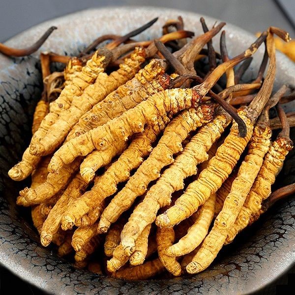 Mo lang mo bi ngam nuoc, chuyen gia nga quy thay 