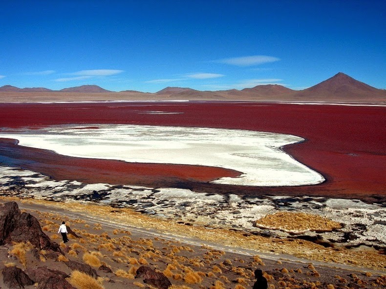 Ven man bi an ho nuoc man do nhu mau tren day Andes-Hinh-6