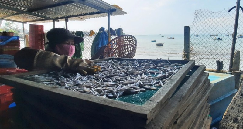 Ca com danh bat gan bo con tuoi roi duoc hap roi phoi kho-Hinh-4