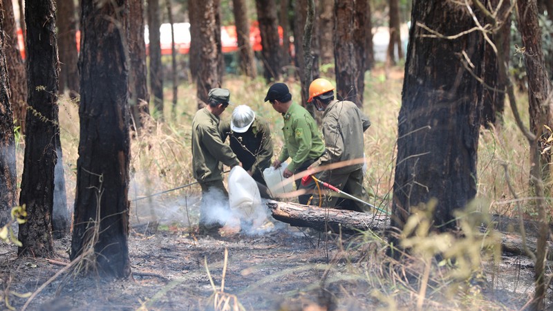 Dieu tra nguyen nhan vu chay rung thong tren deo Prenn-Hinh-2