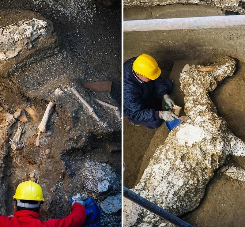 Su that hai hung bo nao bi thuy tinh hoa trong hop so o Herculaneum-Hinh-8