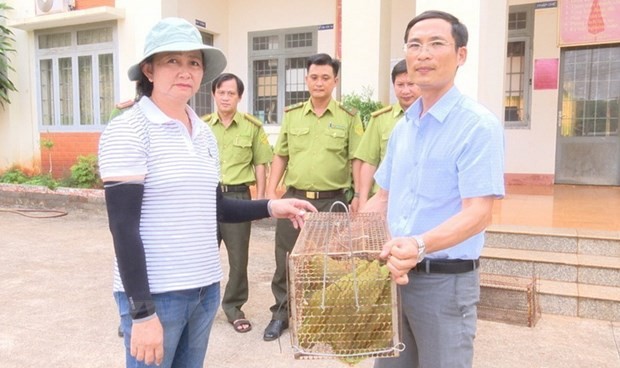 Bat duoc dong vat trong Sach do, dan Binh Phuoc giao cho chinh quyen