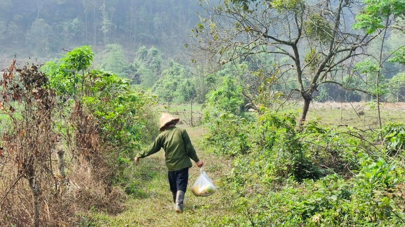 Bat ngo cuoc song hien tai cua 