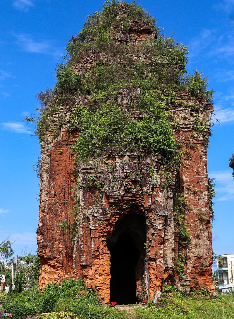 Cum thap cham Khuong My bi muoi hoa sau trung tu 6 thang-Hinh-8