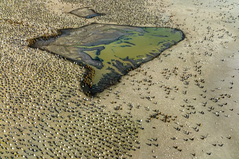 Nhung buc anh chup tren khong doat giai Drone Photo Awards-Hinh-3