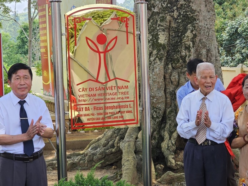 Nhung y nghia cua hoat dong Bao ton Cay Di san Viet Nam-Hinh-2