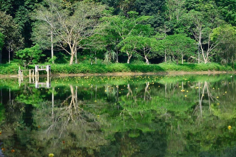 Bau vat Troi ban trong Vuon Quoc gia Cuc Phuong dep hang dau chau A-Hinh-7