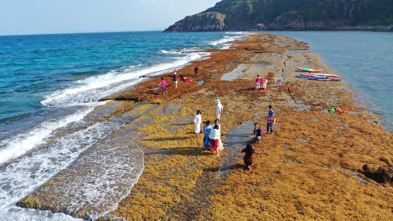 Bi an buc tuong thanh chim duoi nuoc o Quy Nhon-Hinh-4