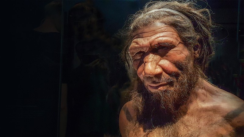 Nguoi Neanderthal thong minh vuot troi, vi sao tuyet chung tu 40.000 nam truoc?-Hinh-3