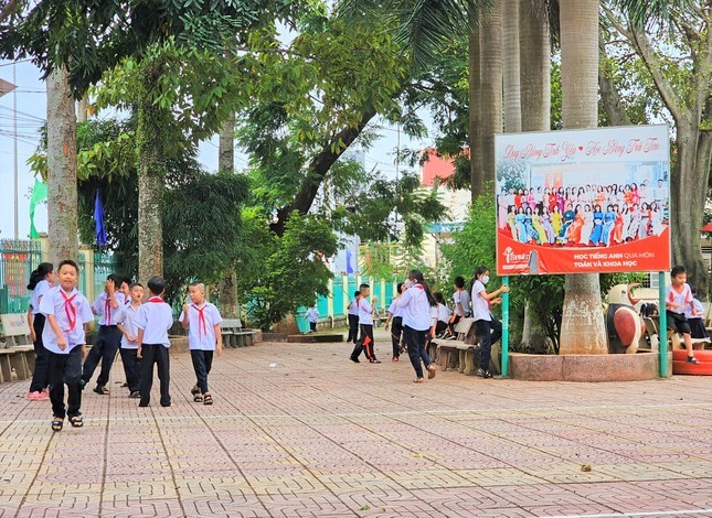 Vu day iSmart 'tu nguyen trong bat buoc': He lo tien phan tram truong duoc nhan-Hinh-2