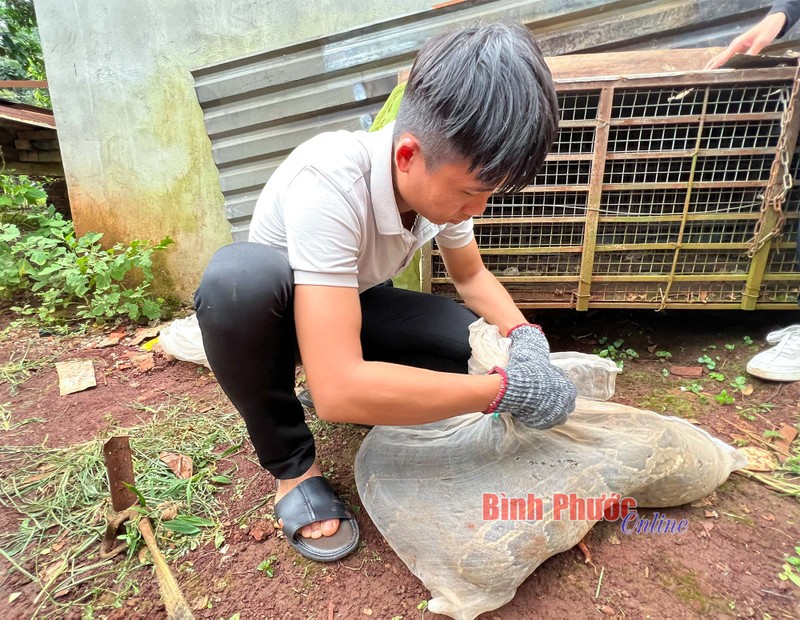 Giao nop tran dat khung 15 kg o Binh Phuoc: Loai quy hiem nhat VN!-Hinh-3