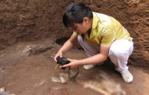 Mo mo ba noi Tan Thuy Hoang, chuyen gia sung so thay canh ben trong-Hinh-6