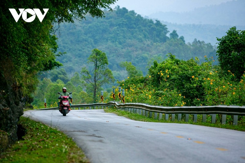 Ngam sac da quy nhuom vang cung deo Lung Pa-Hinh-11