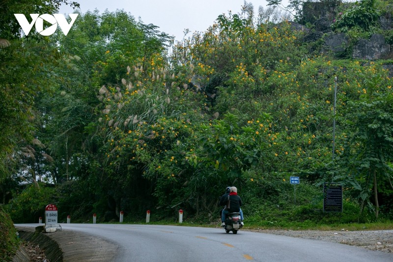 Ngam sac da quy nhuom vang cung deo Lung Pa-Hinh-2