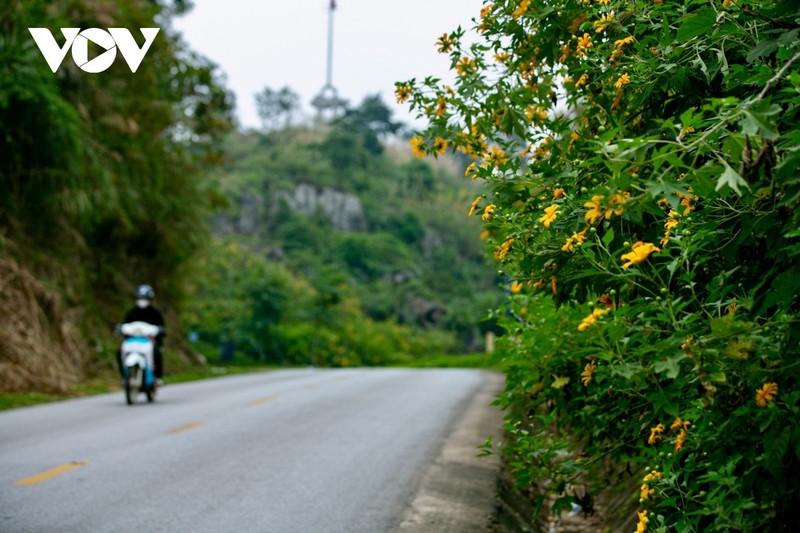 Ngam sac da quy nhuom vang cung deo Lung Pa-Hinh-3