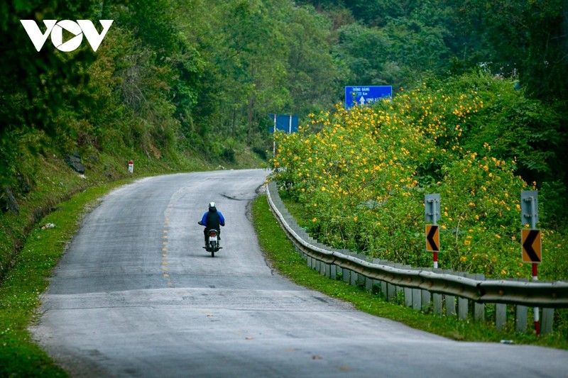 Ngam sac da quy nhuom vang cung deo Lung Pa-Hinh-5