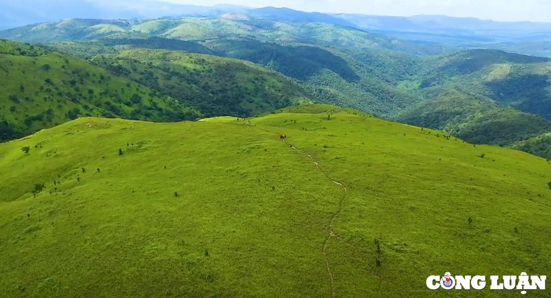 Thao nguyen Pal sol (Dak Lak), diem den hap dan voi nguoi dam me trekking