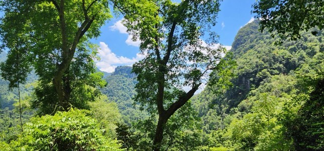 Quang Binh: Lan dau tien ban 'khong khi' thu ve hon 80 ty dong