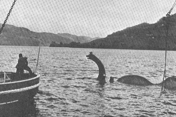 Tuyen bo nong: “Quai vat ho Loch Ness co nhieu anh em dang an nap