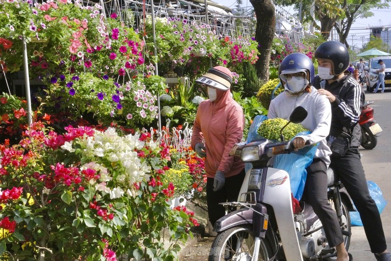 Da Nang: Nhieu tuyen pho ruc ro sac hoa don Tet-Hinh-10