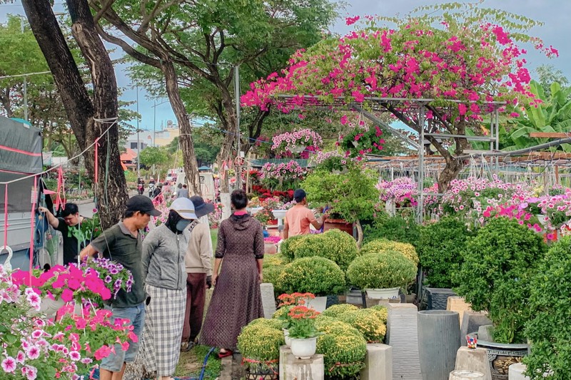 Da Nang: Nhieu tuyen pho ruc ro sac hoa don Tet-Hinh-3