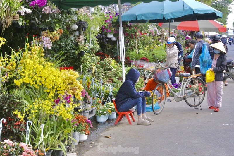 Da Nang: Nhieu tuyen pho ruc ro sac hoa don Tet