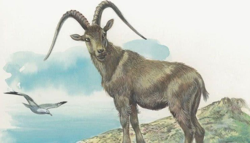 Dự đoán ngày mới 6/2/2024 cho 12 con giáp: Thìn trắc trở, Hợi xán lạn - Hình 8 Du doan ngay moi 6/2/2024 cho 12 con giap: Thin trac tro, Hoi xan lan-Hinh-8