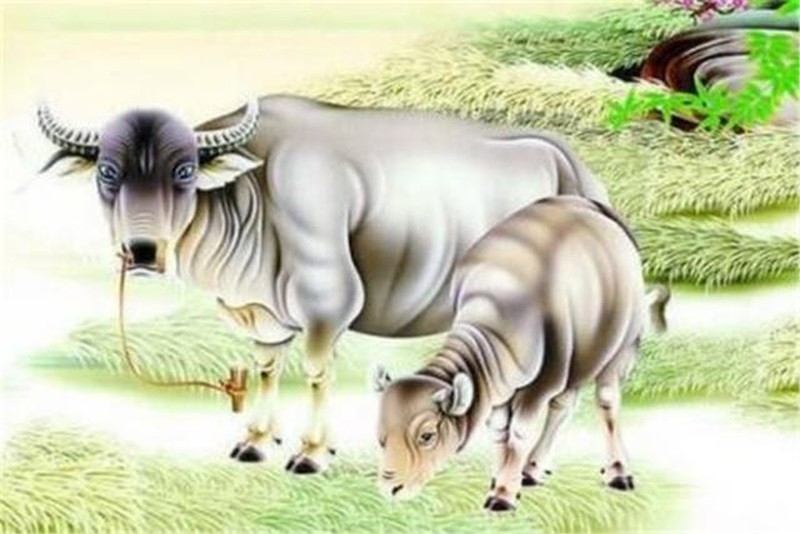 Dự đoán ngày mới 13/2/2024 cho 12 con giáp: Thìn thay đổi, Dậu tỏa sáng - Hình 2 Du doan ngay moi 13/2/2024 cho 12 con giap: Thin thay doi, Dau toa sang-Hinh-2